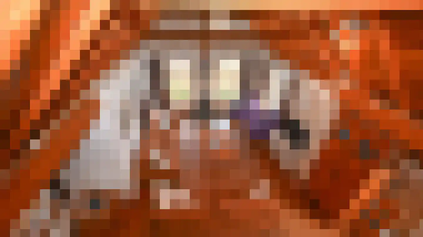 Koksbosweg 4 9 Formerum thumbnail 34