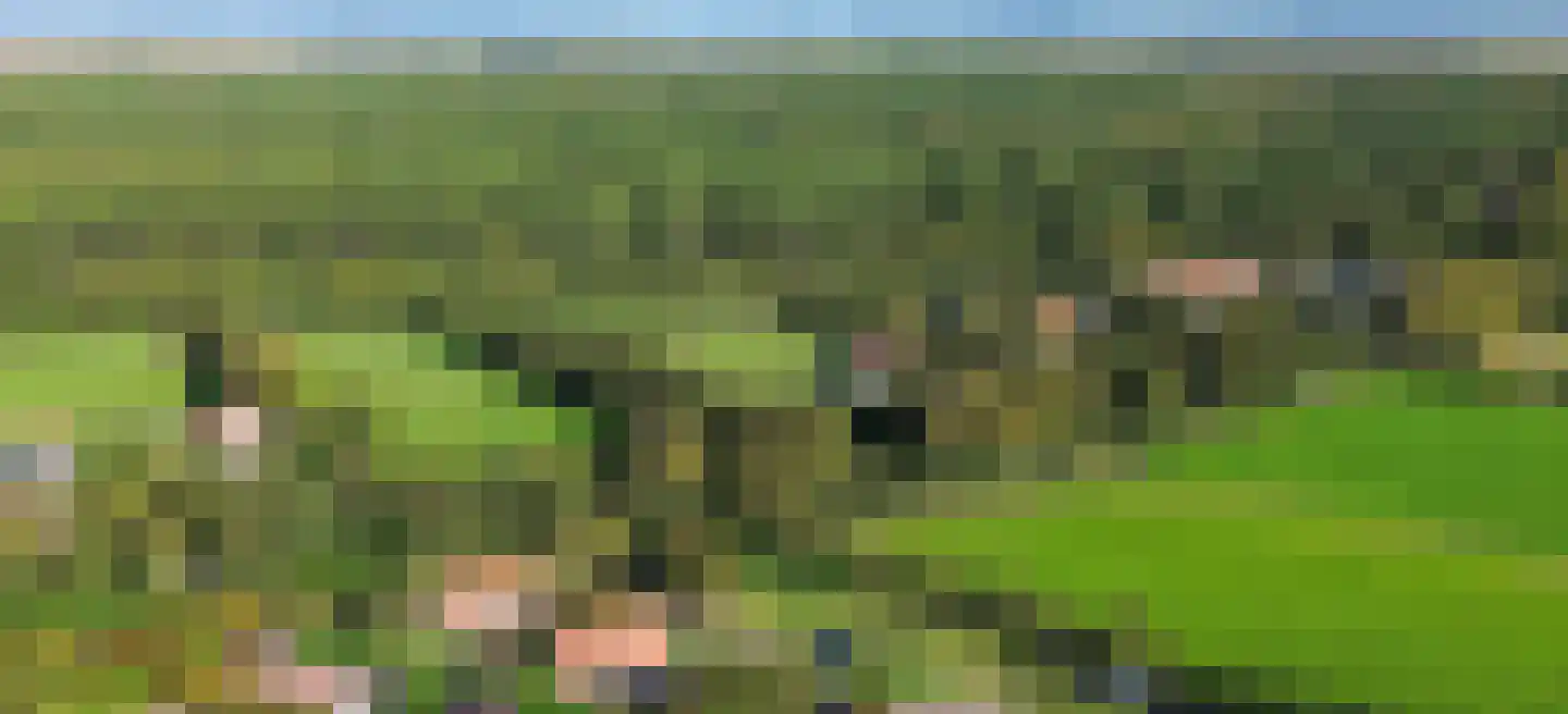 Koksbosweg 4 9 Formerum thumbnail 39