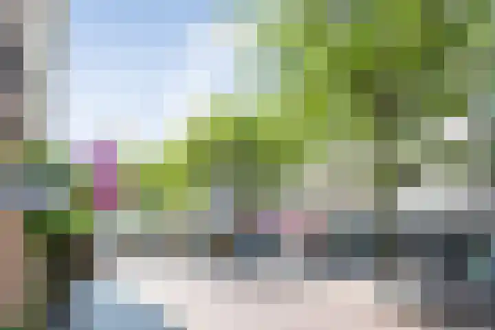 Koksche Poort 4 's-Hertogenbosch thumbnail 35