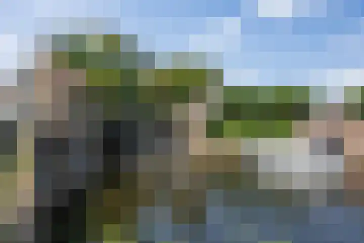 Koksche Poort 4 's-Hertogenbosch thumbnail 41