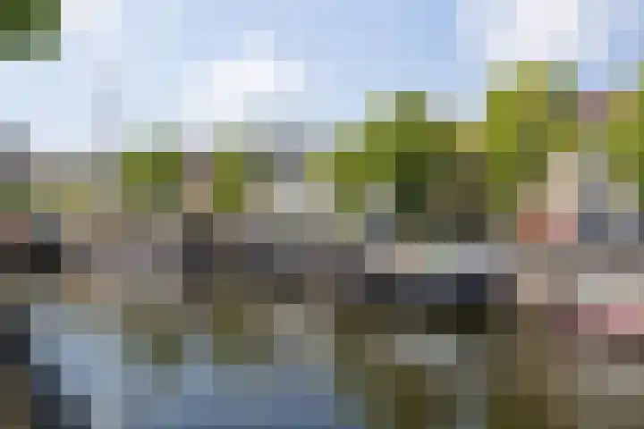 Koksche Poort 4 's-Hertogenbosch thumbnail 42