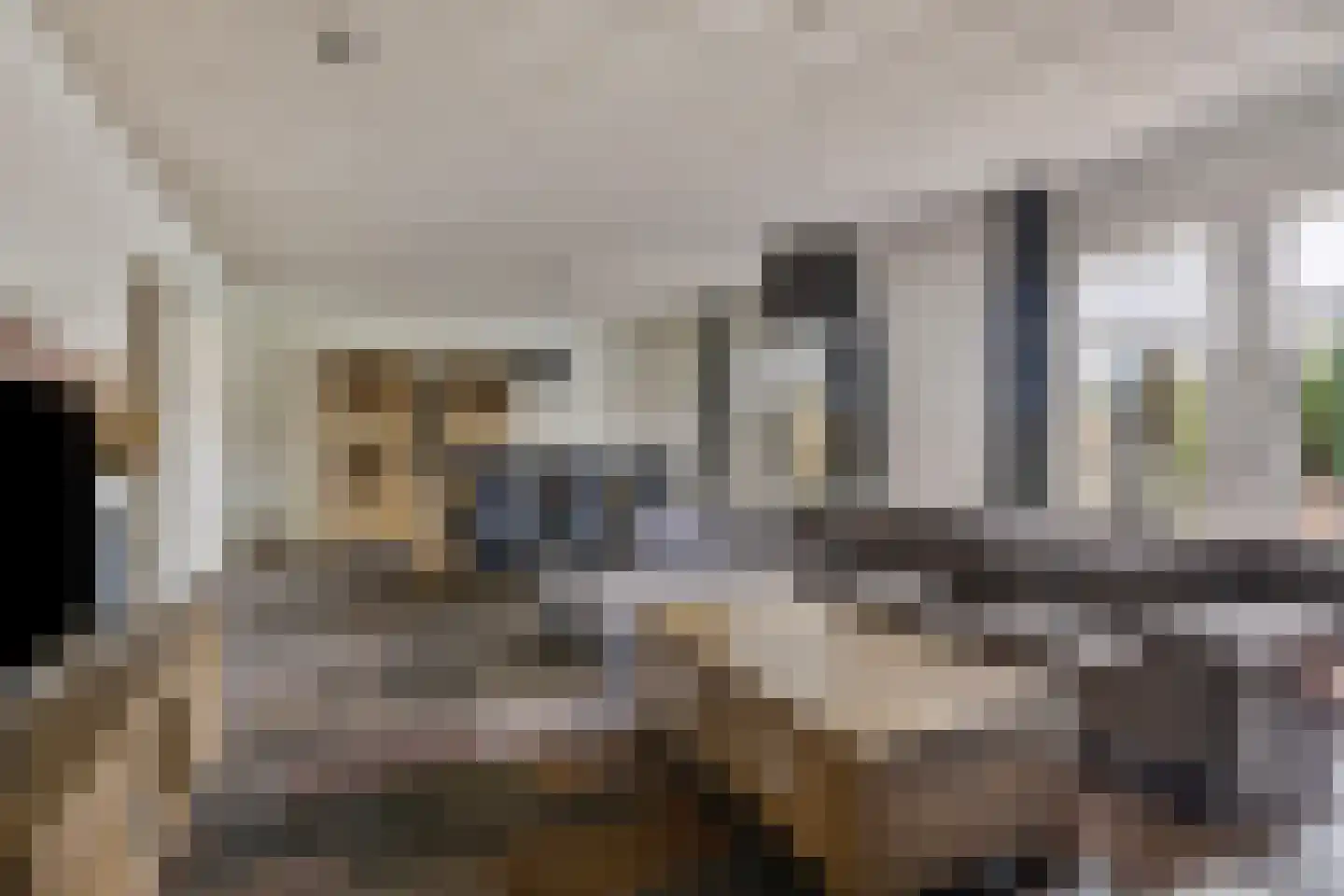 Kokse Hoeve 3 Vinkel thumbnail 18