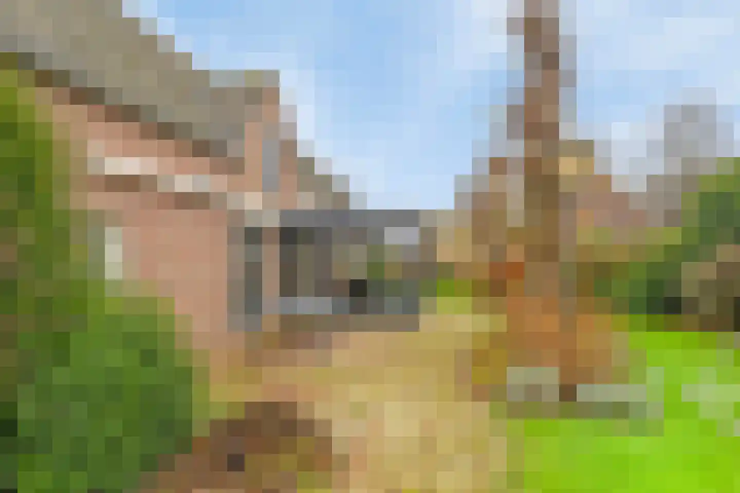 Kokse Hoeve 3 Vinkel thumbnail 51