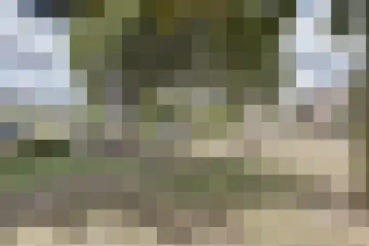Koksenbos 2 Gameren thumbnail 40