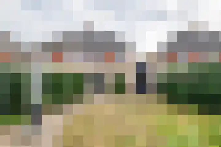 Kolblei 25 Tiel thumbnail 26