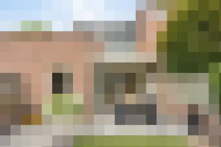 Koleind 41 Veldhoven thumbnail 28