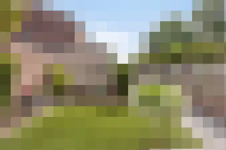 Koleind 41 Veldhoven thumbnail 29