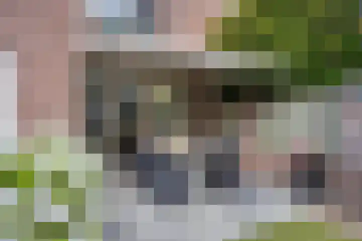 Koleind 41 Veldhoven thumbnail 30