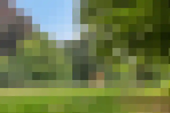 Koleind 41 Veldhoven thumbnail 34