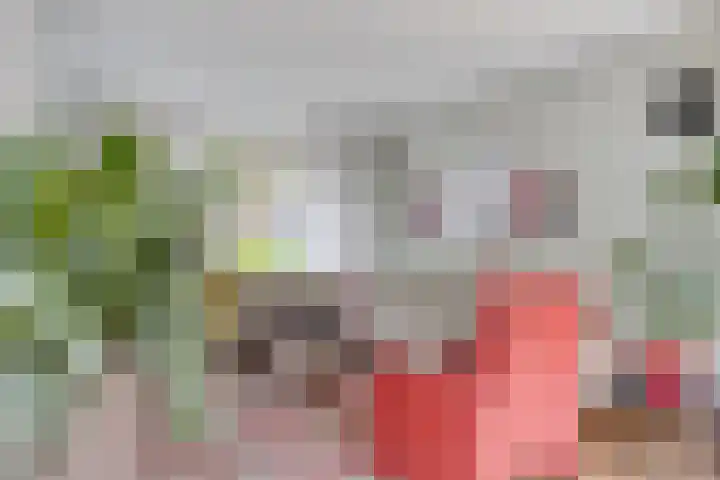 Koleind 41 Veldhoven thumbnail 4