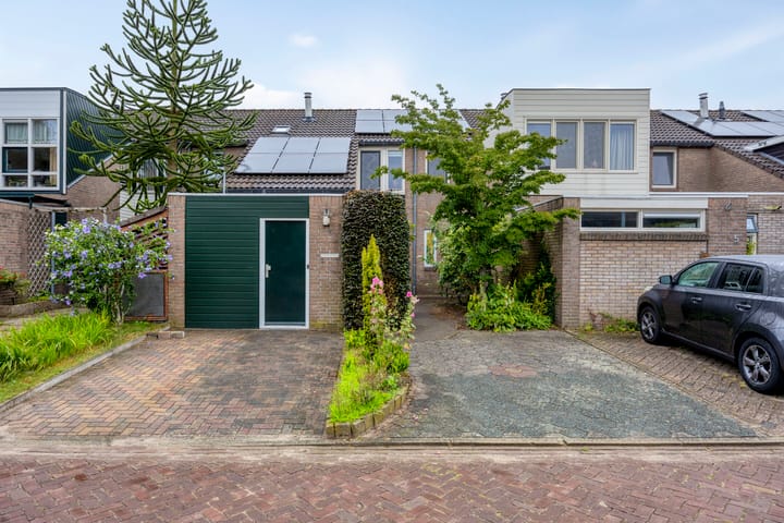 Koles 3 in Rolde foto