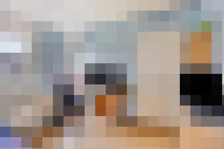 Koles 3 Rolde thumbnail 17