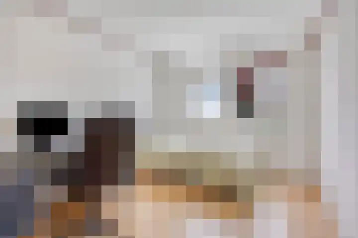 Koles 3 Rolde thumbnail 18