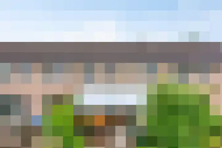 Koles 3 Rolde thumbnail 25