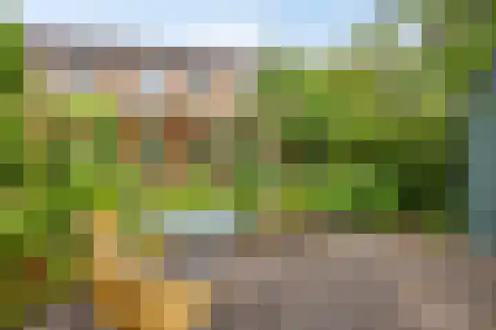 Koles 3 Rolde thumbnail 26