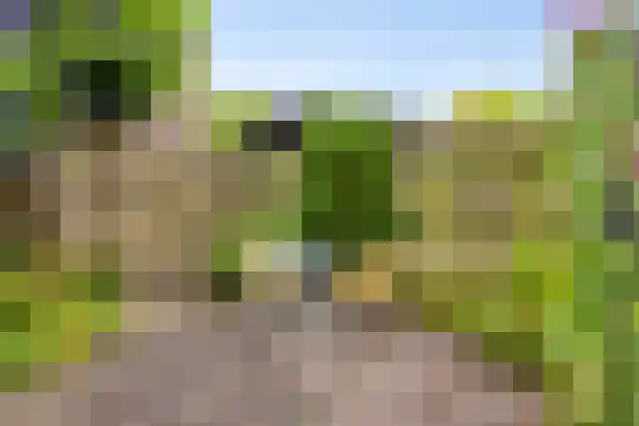 Koles 3 Rolde thumbnail 27