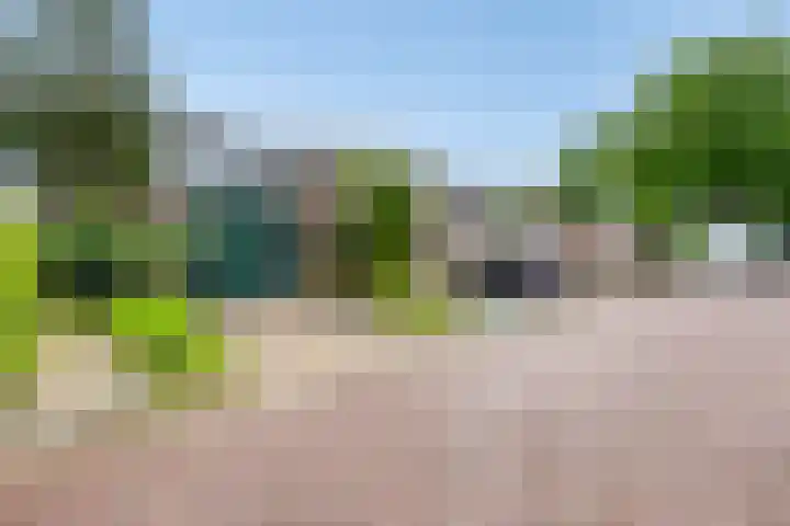 Koles 3 Rolde thumbnail 29