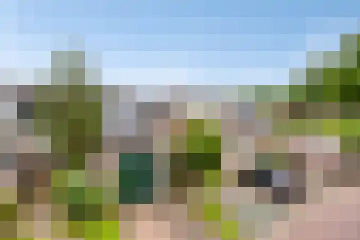 Koles 3 Rolde thumbnail 32