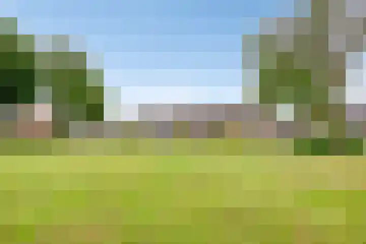 Koles 3 Rolde thumbnail 34