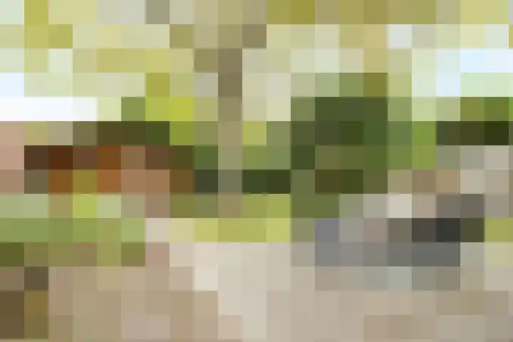 Kolfbaanstraat 9 Breda thumbnail 23