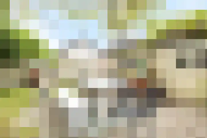 Kolfbaanstraat 9 Breda thumbnail 25