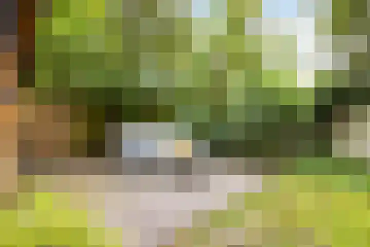 Kolfbaanstraat 9 Breda thumbnail 27