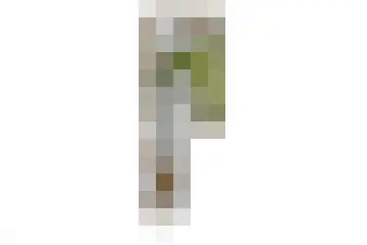 Kolfbaanstraat 9 Breda thumbnail 36