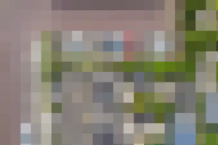 Kolgansstraat 8 Strijen thumbnail 10