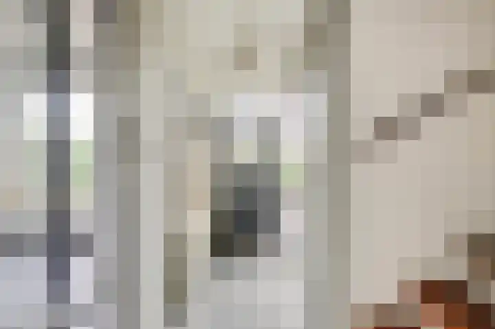 Kolgansstraat 8 Strijen thumbnail 14