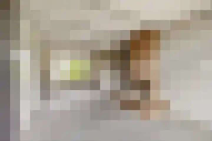 Kolgansstraat 8 Strijen thumbnail 16
