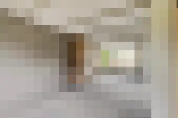 Kolgansstraat 8 Strijen thumbnail 17