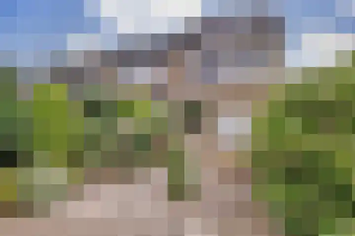 Kolgansstraat 8 Strijen thumbnail 34