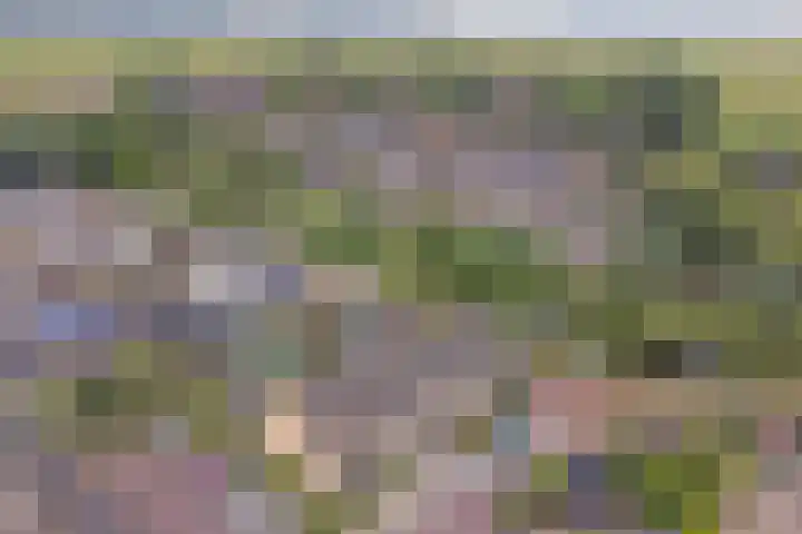 Kolgansstraat 8 Strijen thumbnail 8
