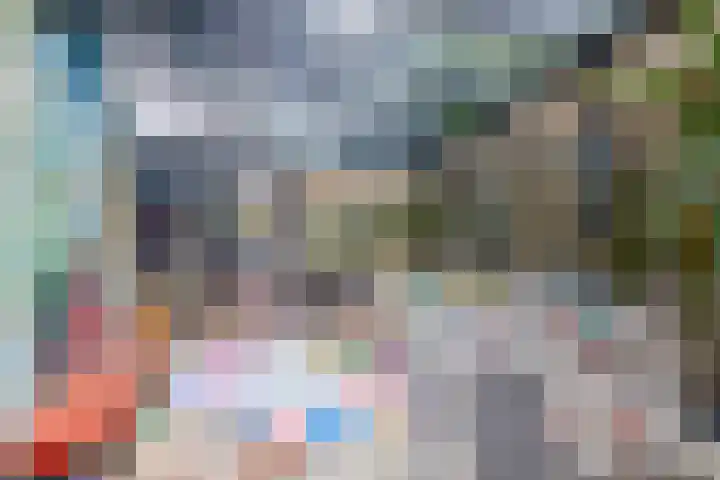 Kolk 1 Brielle thumbnail 19