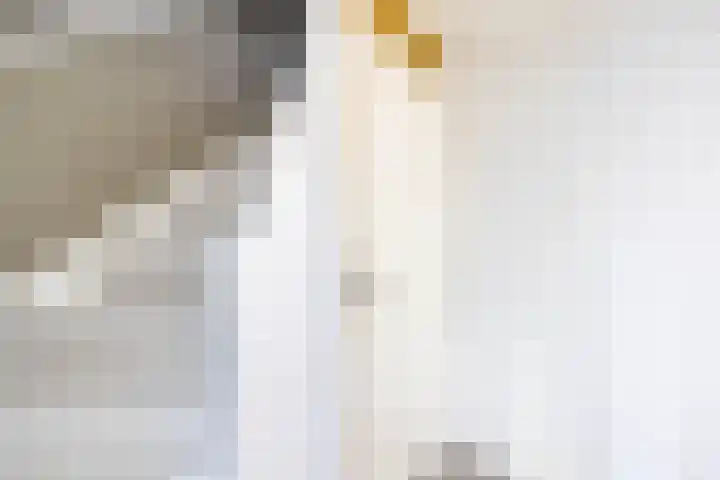 Kolk 1 Brielle thumbnail 30