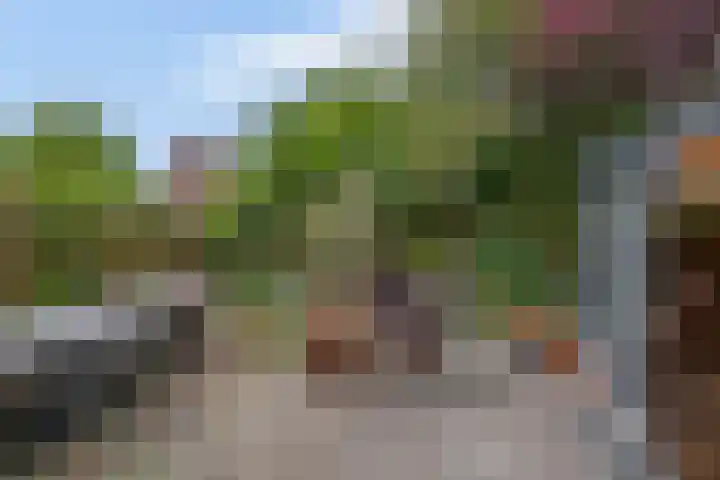 Kolk 1 Brielle thumbnail 41