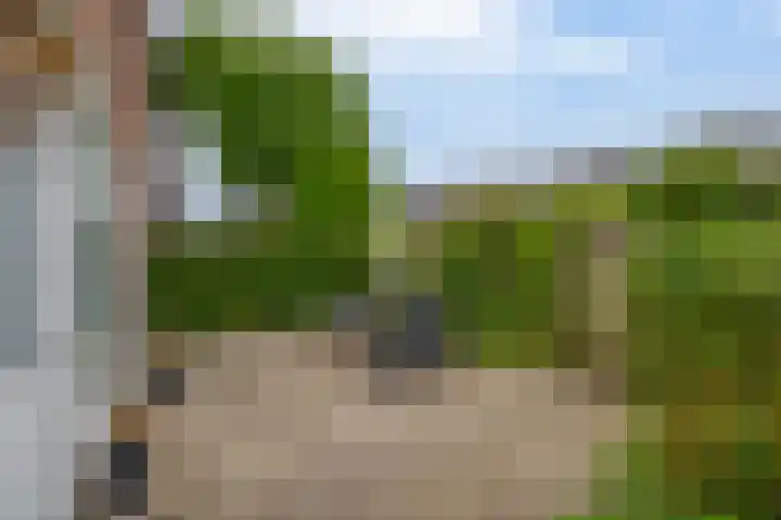 Kolk 1 Brielle thumbnail 42