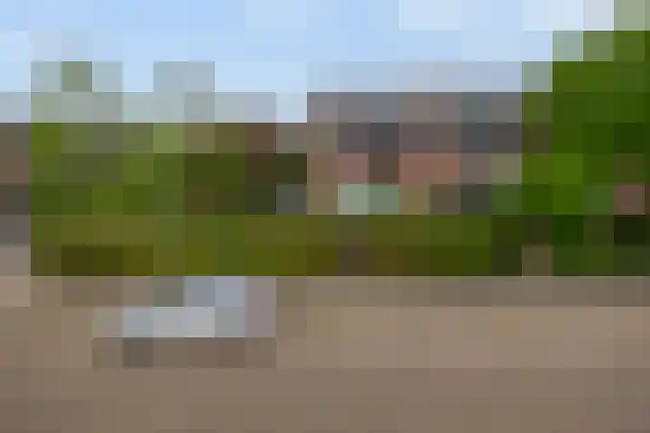 Kolk 1 Brielle thumbnail 46