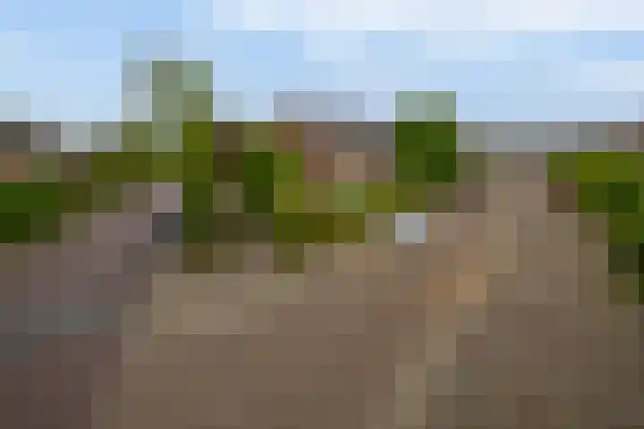Kolk 1 Brielle thumbnail 48