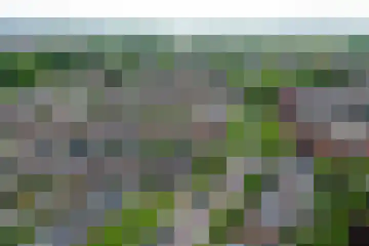 Kolk 1 Brielle thumbnail 50