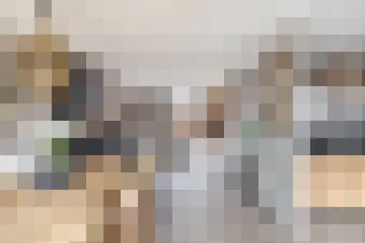 Kolk 32 Brielle thumbnail 12