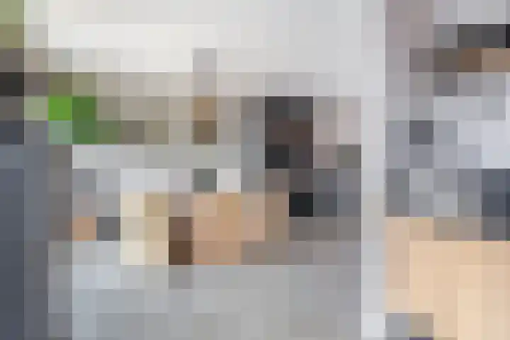 Kolk 32 Brielle thumbnail 18