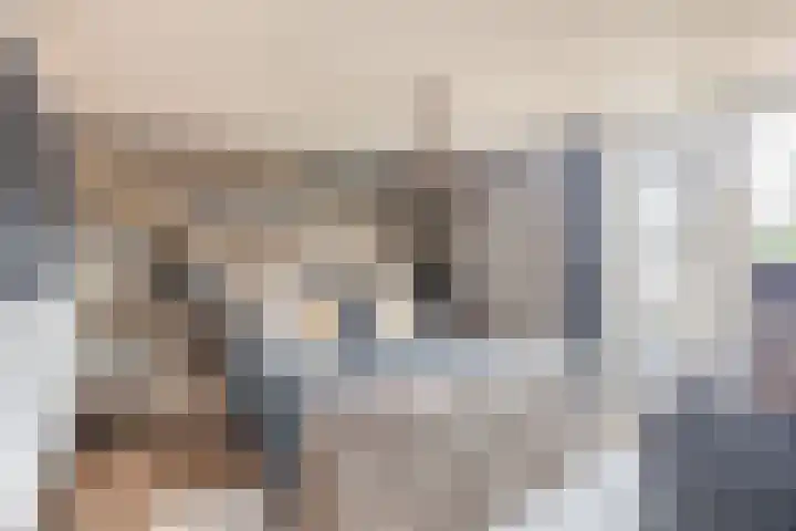 Kolk 32 Brielle thumbnail 19