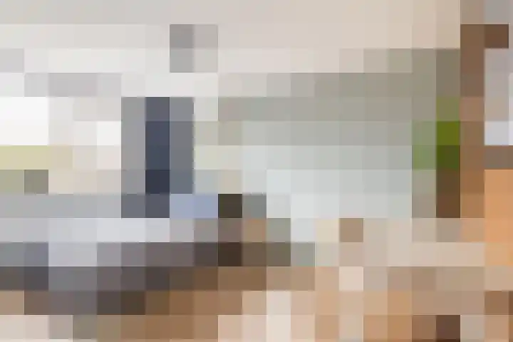 Kolk 32 Brielle thumbnail 22