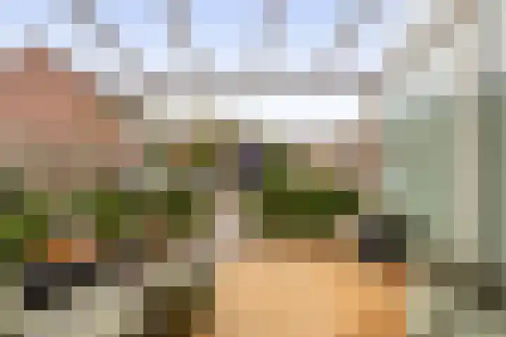 Kolk 32 Brielle thumbnail 33