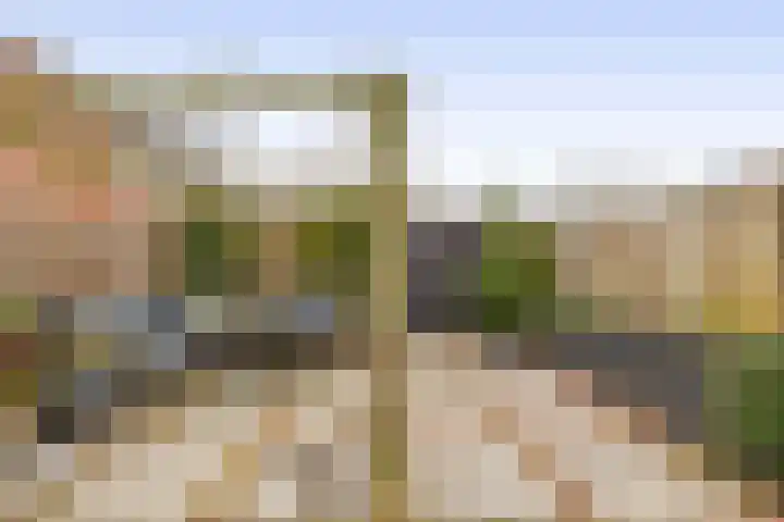 Kolk 32 Brielle thumbnail 34