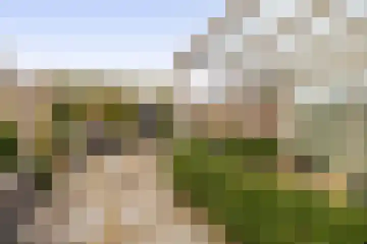 Kolk 32 Brielle thumbnail 35