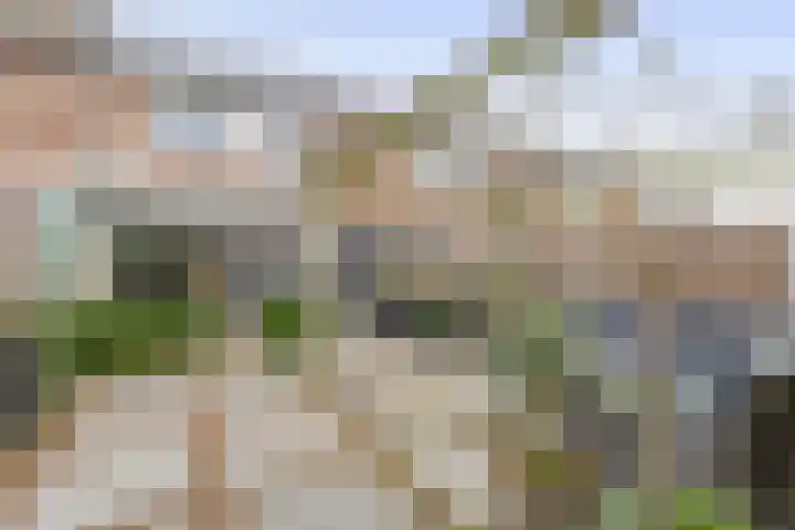 Kolk 32 Brielle thumbnail 36