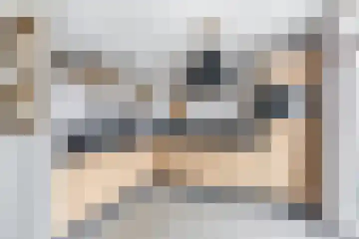 Kolk 32 Brielle thumbnail 4