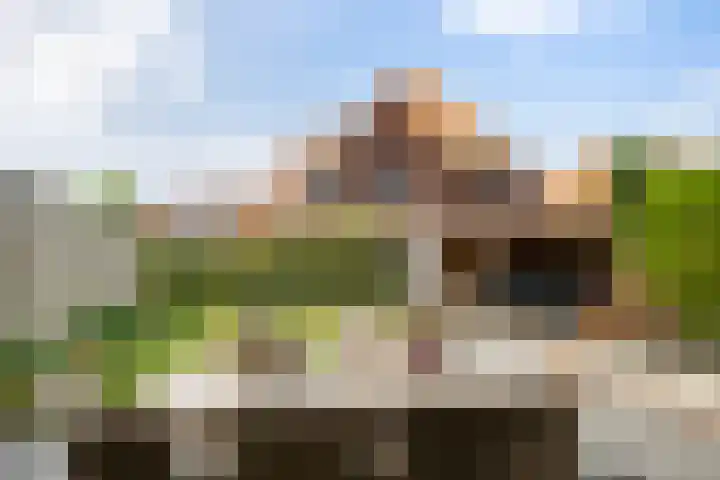 Kolk 9 Poeldijk thumbnail 14
